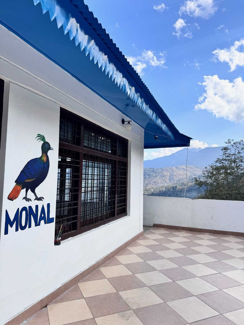 Himalayan Monal bird mural on the terrace